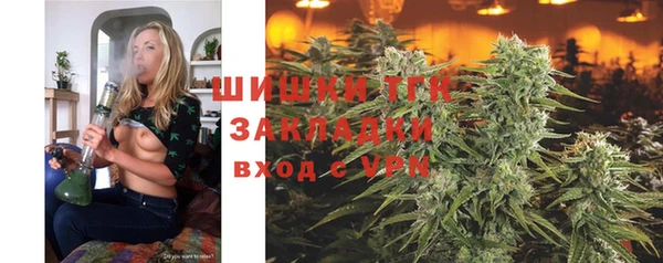 стаф Волоколамск